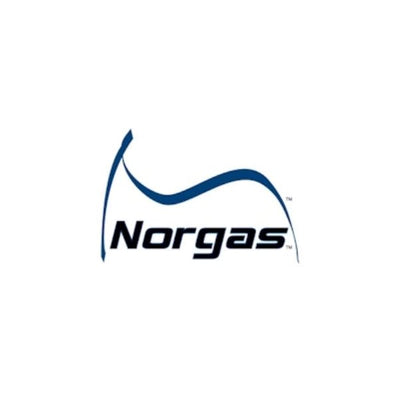 Norgas Controls | CICFB08