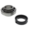 P2002450 | Ball Bearing (Series VSC/VSCS) | Xylem-Bell & Gossett