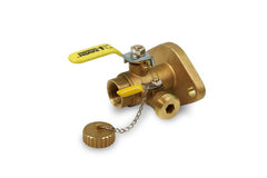 Everflow 895T001 RAVEN 895T001 1" IPS F/P FLANGE BALL VALVE WITH PURGE - NUTS & BOLTS *SINGLE*  | Midwest Supply Us