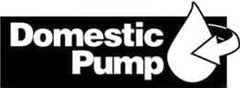 Domestic Pump 180029 180029 Stock Pump Assembly  | Midwest Supply Us
